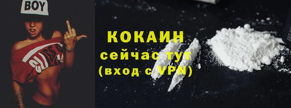 гашик Коряжма