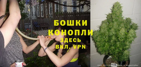 прущая мука Костерёво