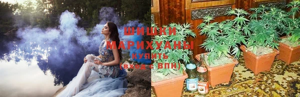 прущая мука Костерёво