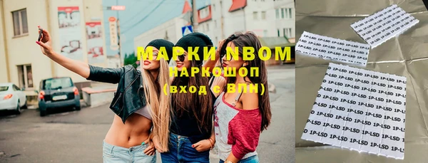гашик Коряжма