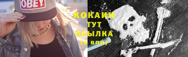 гашик Коряжма