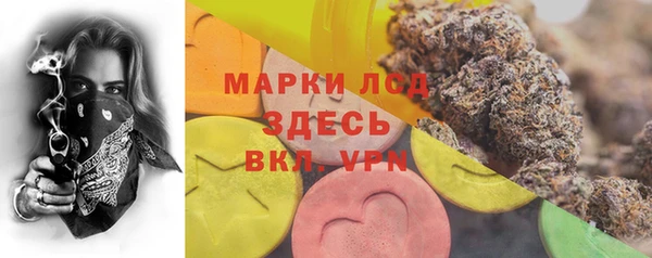 гашик Коряжма