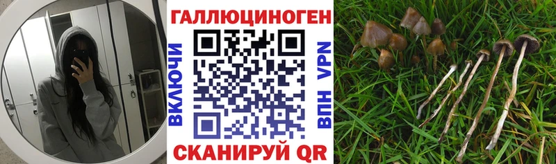 Галлюциногенные грибы мицелий  Химки 