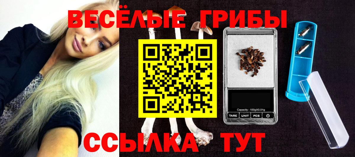 Псилоцибиновые грибы Psilocybine cubensis Химки