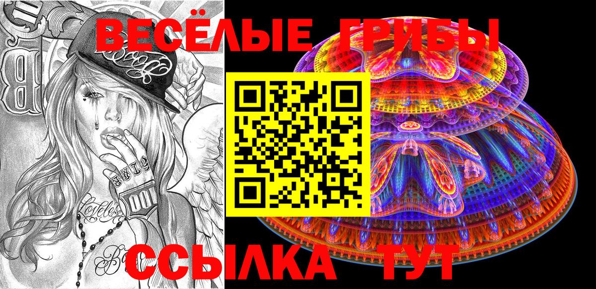 Химки  Псилоцибиновые грибы MAGIC MUSHROOMS  Псилоцибиновые грибы GOLDEN TEACHER  Вход с VPN 