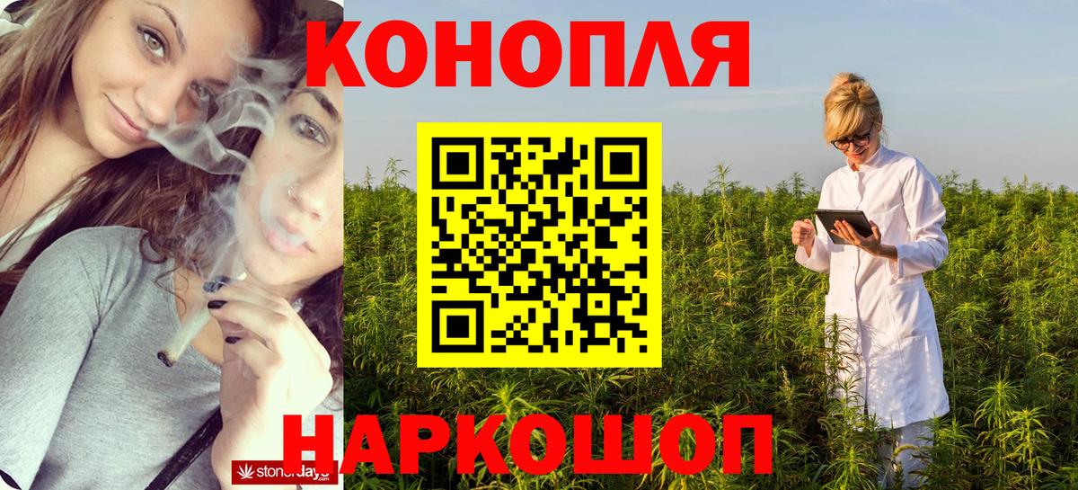 Шишки марихуана OG Kush  Бошки Шишки OG Kush  Канабис тримм  Химки 